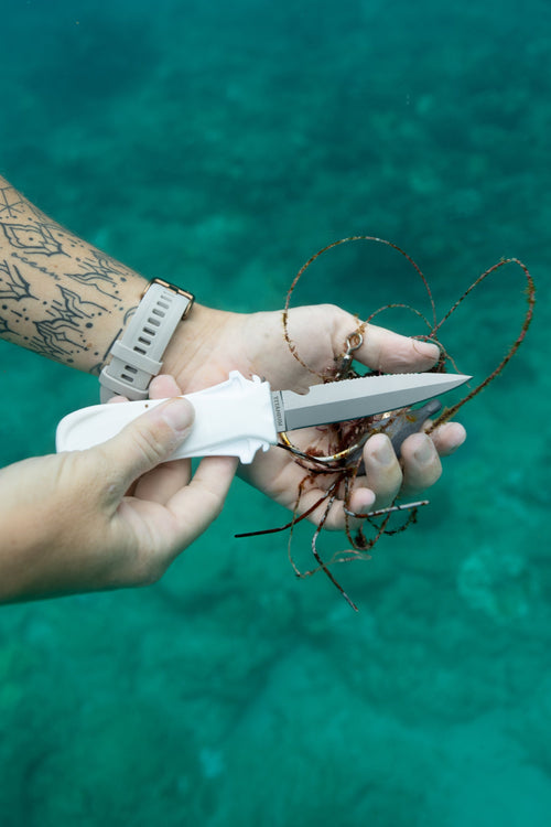7 Seas T1 titanium dive knife